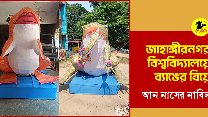 জাহাঙ্গীরনগর বিশ্ববিদ্যালয়ে ব্যাঙের বিয়ে