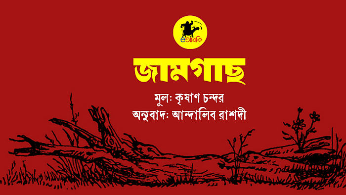 জামগাছ