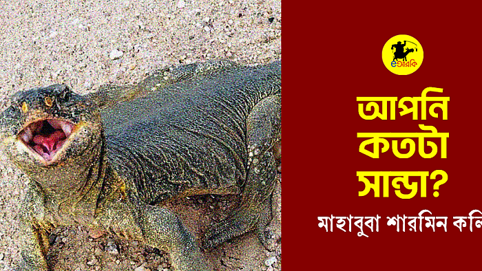 আপনি কতটা সান্ডা?