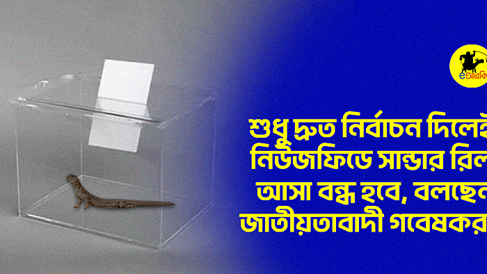 শুধু দ্রুত নির্বাচন দিলেই নিউজফিডে সান্ডার রিল আসা বন্ধ হবে, বলছেন জাতীয়তাবাদী গবেষকরা