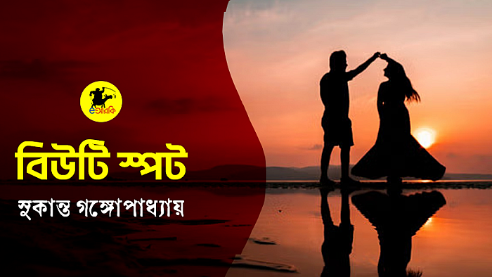 বিউটি স্পট