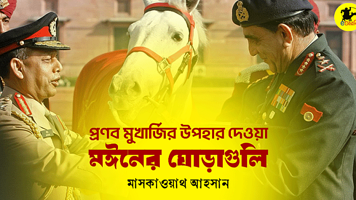 প্রণব মুখার্জির উপহার দেওয়া মঈনের ঘোড়াগুলি