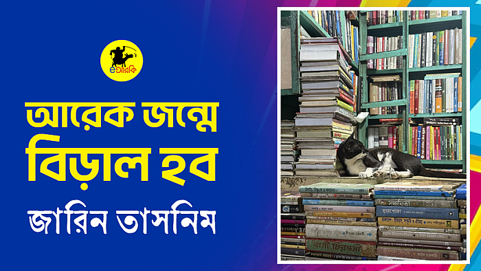আরেক জন্মে বিড়াল হব