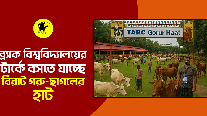 ব্র্যাক বিশ্ববিদ্যালয়ের টার্কে বসতে যাচ্ছে বিরাট গরু-ছাগলের হাট