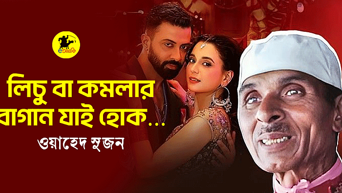 লিচু বা কমলার বাগান যাই হোক...
