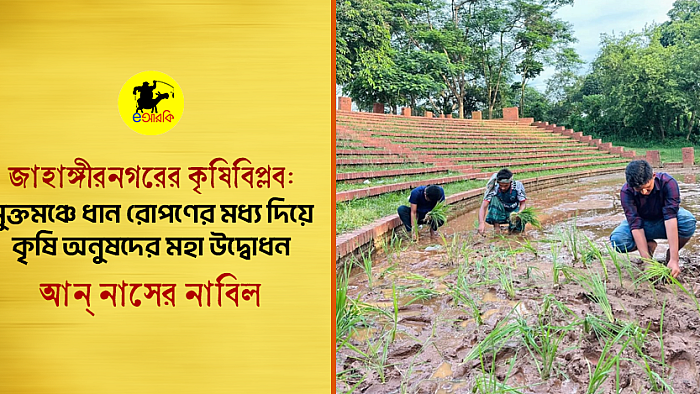 জাহাঙ্গীরনগরের কৃষিবিপ্লব: মুক্তমঞ্চে ধান রোপণের মধ্য দিয়ে কৃষি অনুষদের মহা উদ্বোধন 
