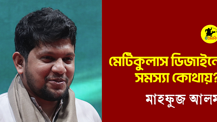 মেটিকুলাস ডিজাইনে সমস্যা কোথায়?