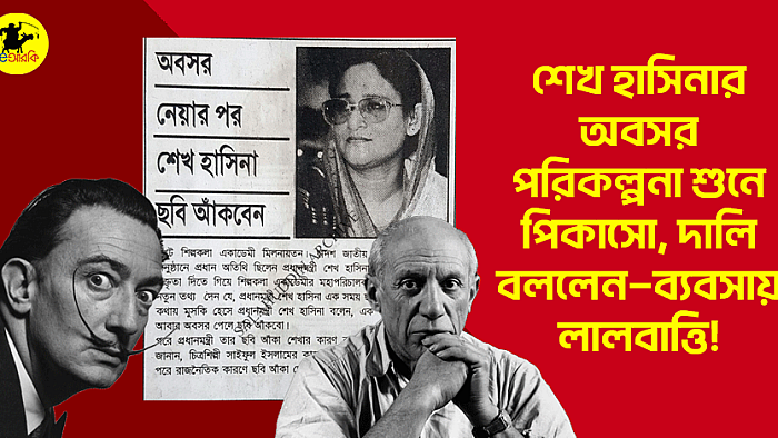 শেখ হাসিনার অবসর পরিকল্পনা শুনে পিকাসো, দালি বললেন—ব্যবসায় লালবাত্তি!