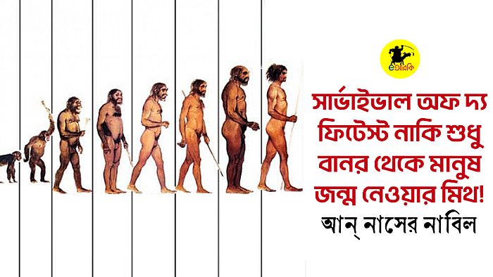 সার্ভাইভাল অফ দ্য ফিটেস্ট? নাকি শুধু বানর থেকে মানুষ জন্ম নেওয়ার মিথ!