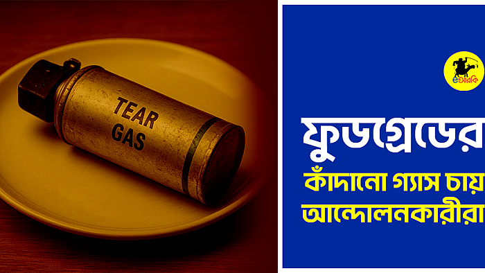 ফুড গ্রেডেড কাঁদানে গ্যাসের দাবি জানিয়েছে আন্দোলনকারীরা। 
