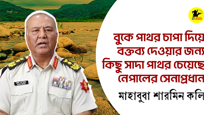বুকে পাথর চাপা দিয়ে বক্তব্য দেওয়ার নিমিত্তে কিছু সাদা পাথর চেয়েছে নেপালের সেনাপ্রধান 