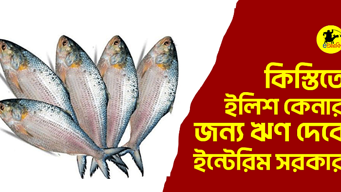 কিস্তিতে ইলিশ কেনার জন্য ঋণ দেবে ইন্টেরিম সরকার
