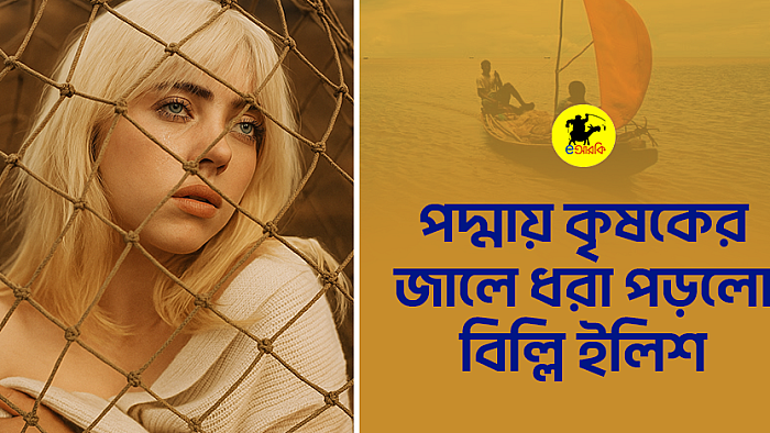 পদ্মায় কৃষকের জালে ধরা পড়ল বিল্লি ইলিশ 
