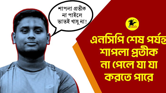 এনসিপি শেষ পর্যন্ত শাপলা প্রতীক না পেলে যা যা করতে পারে 