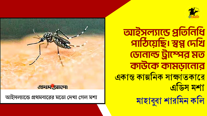 আইসল্যান্ডে প্রতিনিধি পাঠিয়েছি। স্বপ্ন দেখি ডোনাল্ড ট্রাম্পের মতো কাউকে কামড়ানোর।