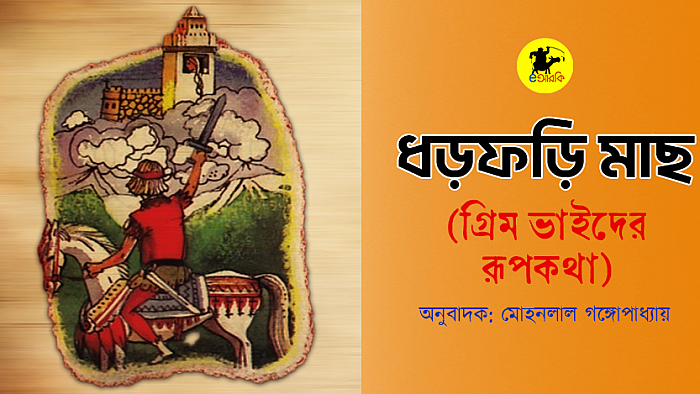 ধড়ফড়ি মাছ