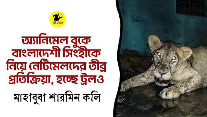 অ্যানিমেল বুকে বাংলাদেশী সিংহীকে নিয়ে নেটিমেলদের তীব্র প্রতিক্রিয়া, হচ্ছে ট্রলও