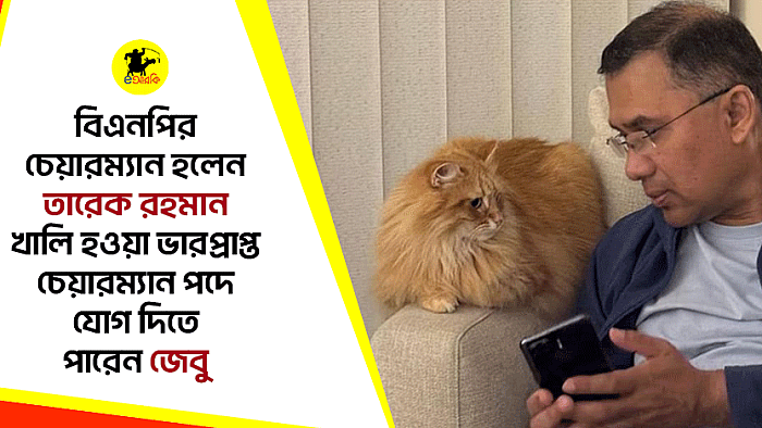 বিএনপির চেয়ারম্যান হলেন তারেক রহমান, খালি হওয়া ভারপ্রাপ্ত চেয়ারম্যান পদে যোগ দিতে পারেন জেবু