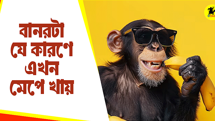যে কারণে বানরটা এখন মেপে খায়