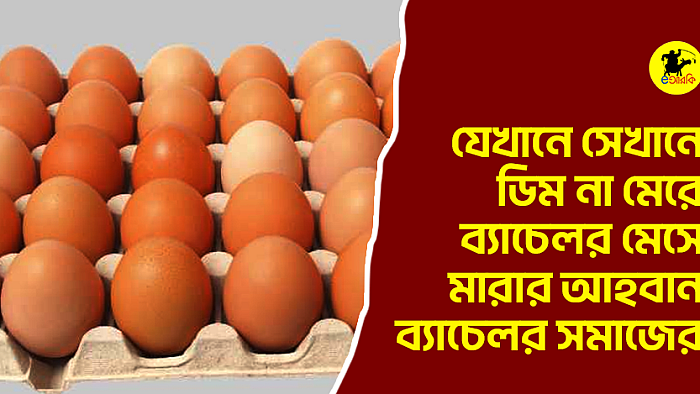 যেখানে সেখানে ডিম না মেরে ব্যাচেলর মেসে মারার আহবান ব্যাচেলর সমাজের