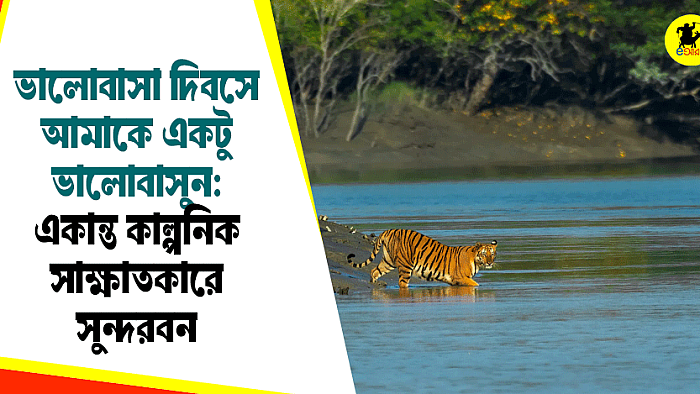 ভালোবাসা দিবসে আমাকেও একটু ভালোবাসুন: সুন্দরবন