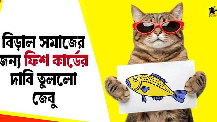 বিড়াল সমাজের জন্য ফিশ কার্ডের দাবি তুললো জেবু