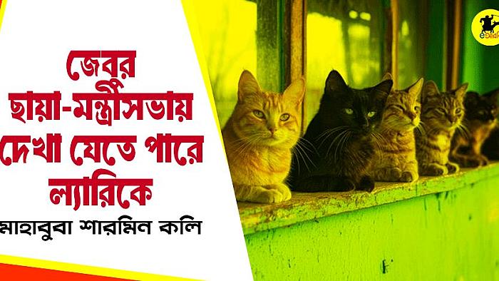 জেবুর ছায়া মন্ত্রিসভায় দেখা যেতে পারে ল্যারিকে