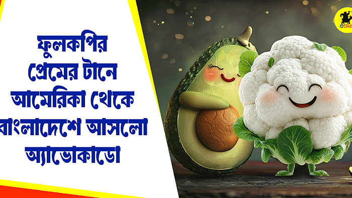 ফুলকপির প্রেমের টানে আমেরিকা থেকে বাংলাদেশে আসলো অ্যাভোকাডো