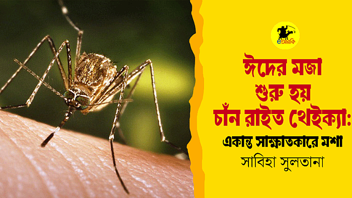 মশাদের একটি আনন্দঘন ঈদ উদযাপন সম্পর্কিত সাক্ষাৎকার