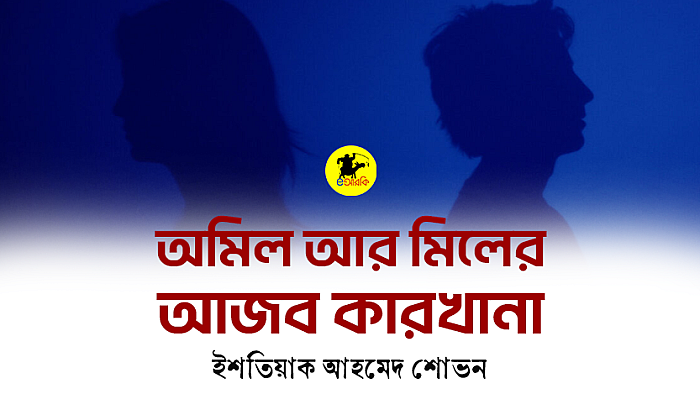 অমিল আর মিলের আজব কারখানা