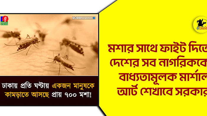মশার সাথে ফাইট দিতে দেশের সব নাগরিককে বাধ্যতামূলক মার্শাল আর্ট শেখাবে সরকার