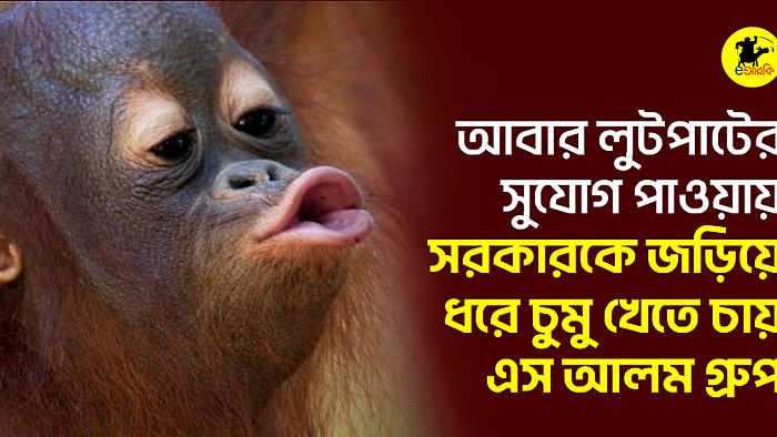 আবার লুটপাটের সুযোগ পাওয়ায় সরকারকে জড়িয়ে ধরে চুমু খেতে চায় এস আলম গ্রুপ