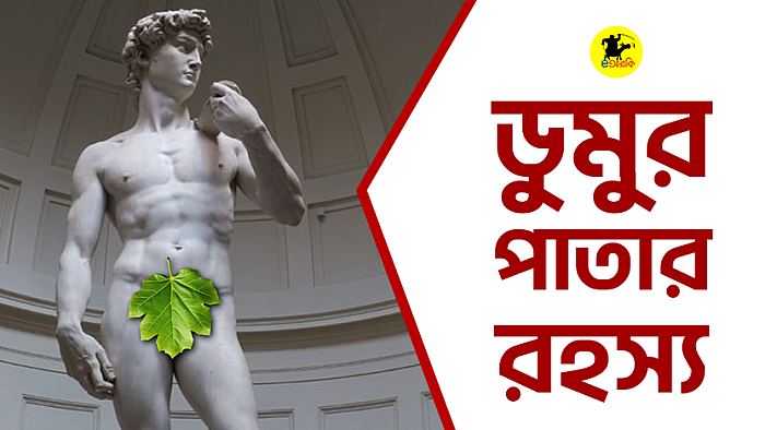 ডুমুর পাতার রহস্য