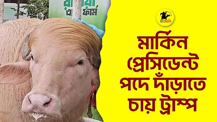 মার্কিন প্রেসিডেন্ট পদে দাঁড়াতে চায় ট্রাম্প