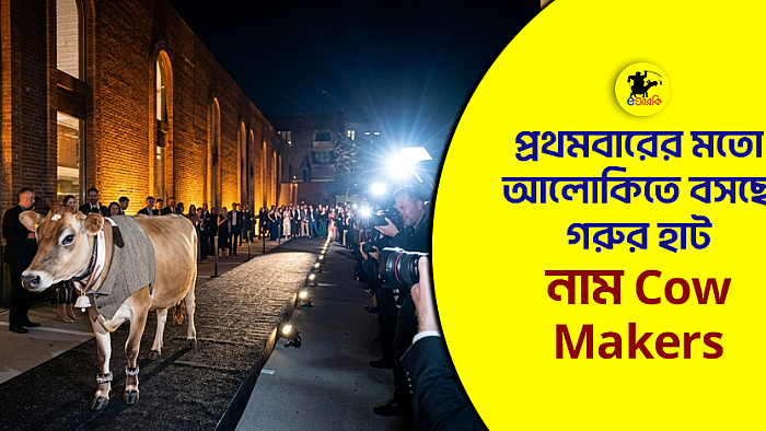 প্রথমবারের মতো আলোকিতে বসছে গরুর হাট, নাম Cow Makers