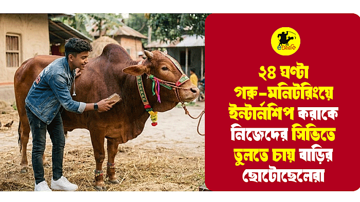 ২৪ ঘণ্টা গরু-মনিটরিংকে ইন্টার্নশিপ হিসেবে নিজেদের সিভিতে তুলতে চায় বাড়ির ছোট ছেলেরা