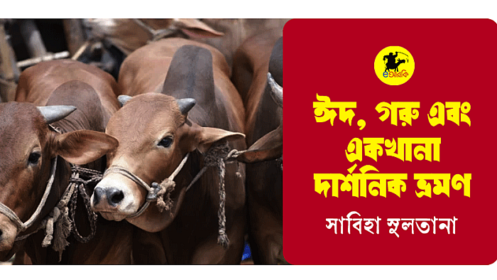 ঈদ, গরু এবং একখানা দার্শনিক ভ্রমণ