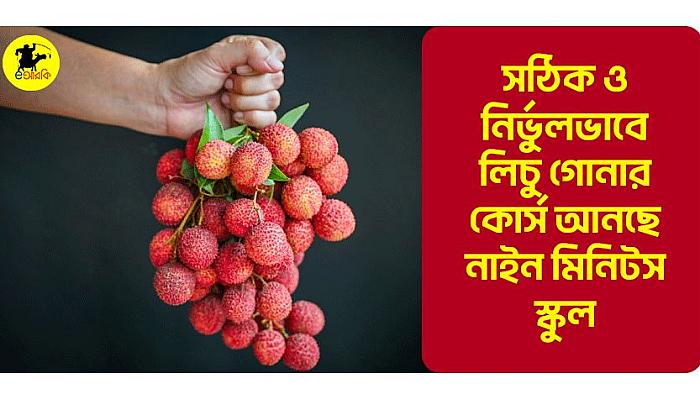 সঠিক ও নির্ভুলভাবে লিচু গোনার কোর্স আনছে নাইন মিনিটস স্কুল