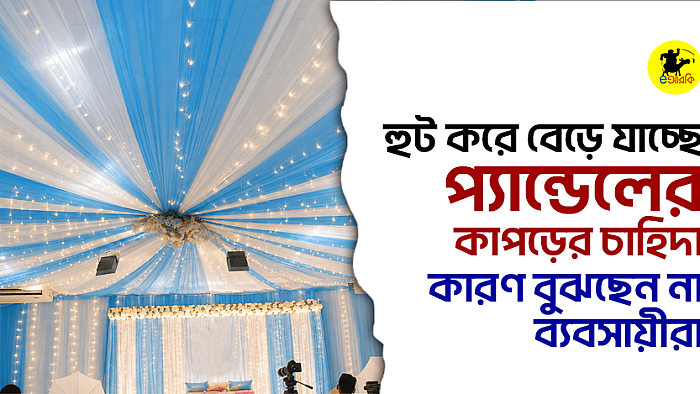 হুট করে বেড়ে যাচ্ছে প্যান্ডেলের কাপড়ের চাহিদা, কারণ বুঝছেন না ব্যবসায়ীরা
