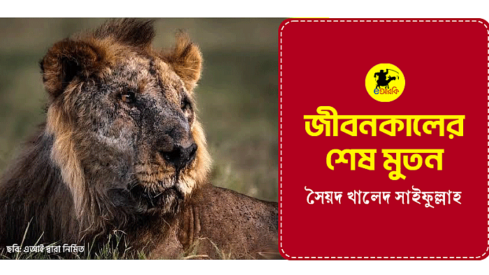 জীবনকালের শেষ মুতন