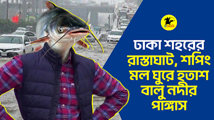 ঢাকা শহরের রাস্তাঘাট, শপিং মল ঘুরে হতাশ বালু নদীর পাঙ্গাস