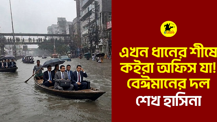 এখন ধানের শীষে কইরা অফিস যা! বেঈমানের দল: শেখ হাসিনা