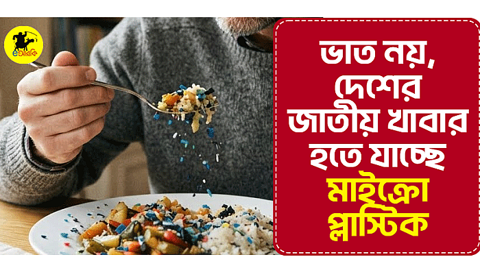 ভাত নয়, দেশের জাতীয় খাবার হতে যাচ্ছে মাইক্রো প্লাস্টিক