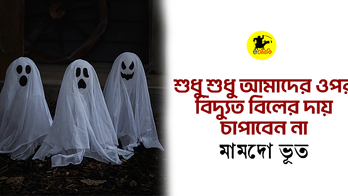 শুধু শুধু আমাদের ওপর বিদ্যুত বিলের দায় চাপাবেন না: মামদো ভূত