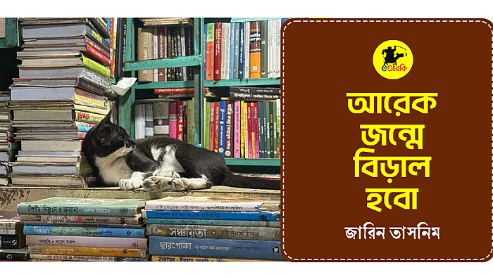 আরেক জন্মে বিড়াল হবো