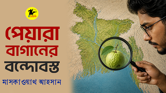 পেয়ারা বাগানের বন্দোবস্ত
