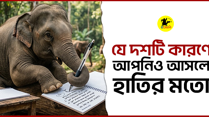 যে দশটি কারণে আপনিও আসলে হাতির মতো