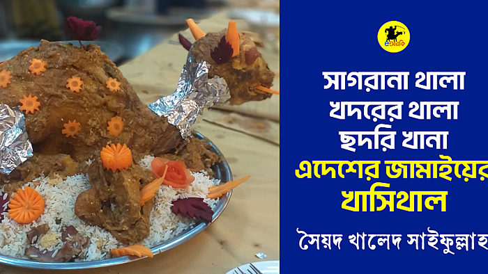এদেশের জামাইদের থালে খাসিথাল!