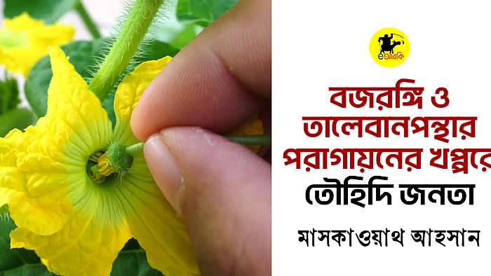 বজরঙ্গি ও তালেবানপন্থার পরাগায়নের খপ্পরে তৌহিদি জনতা