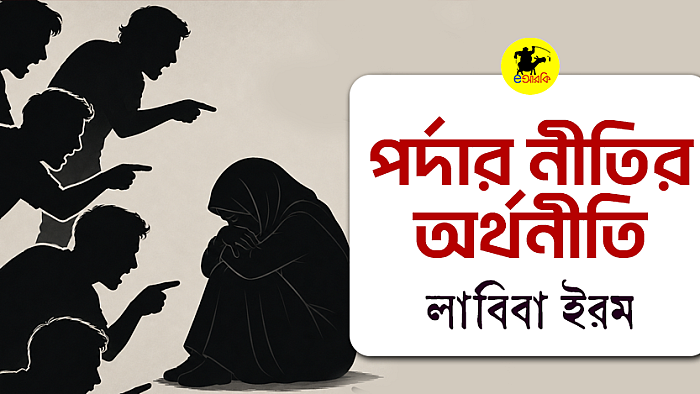 পর্দার নীতির অর্থনীতি